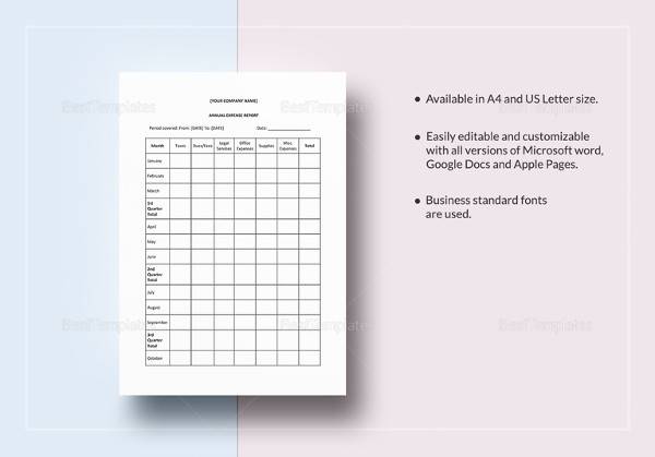 annual expense report