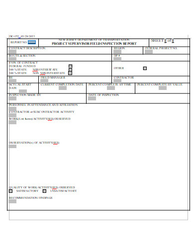 field inspection report
